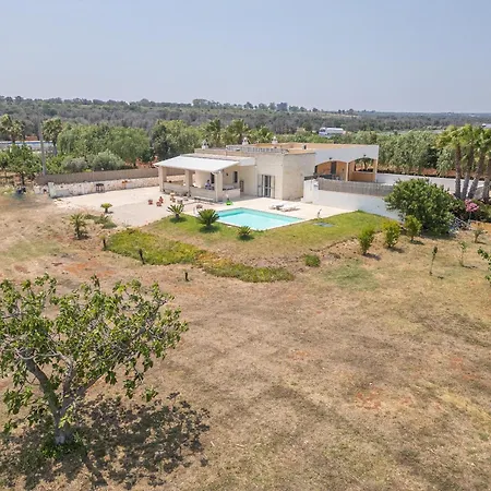 Serenella 卡洛维诺