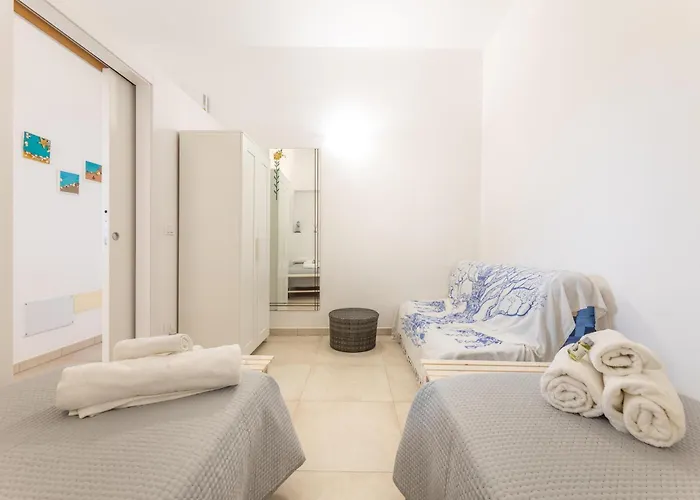 Serenella Villa *